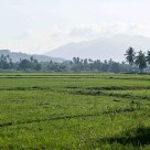 Langkawi
